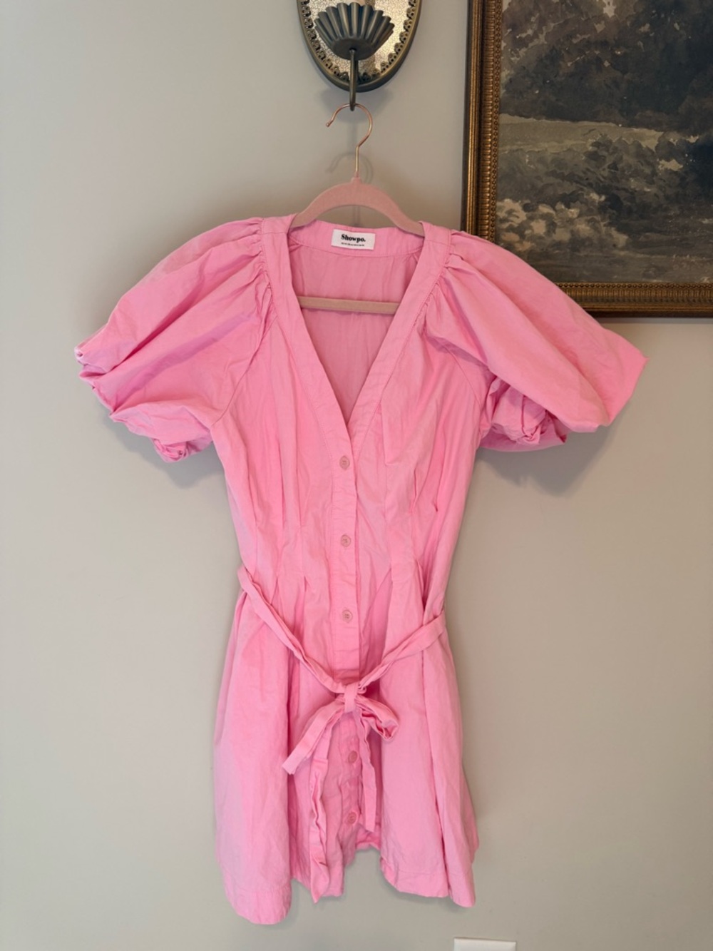 Showpo Pink Dress